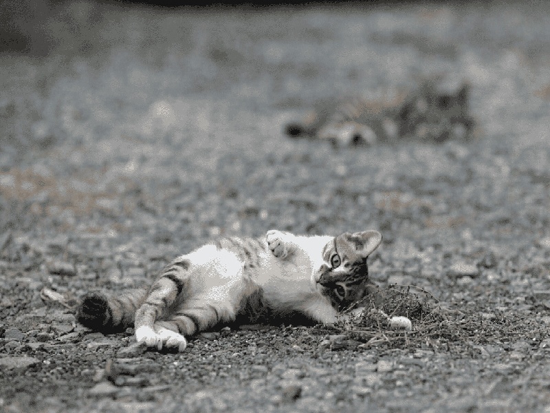 试管如何放固体药品（做试管 如何请假）